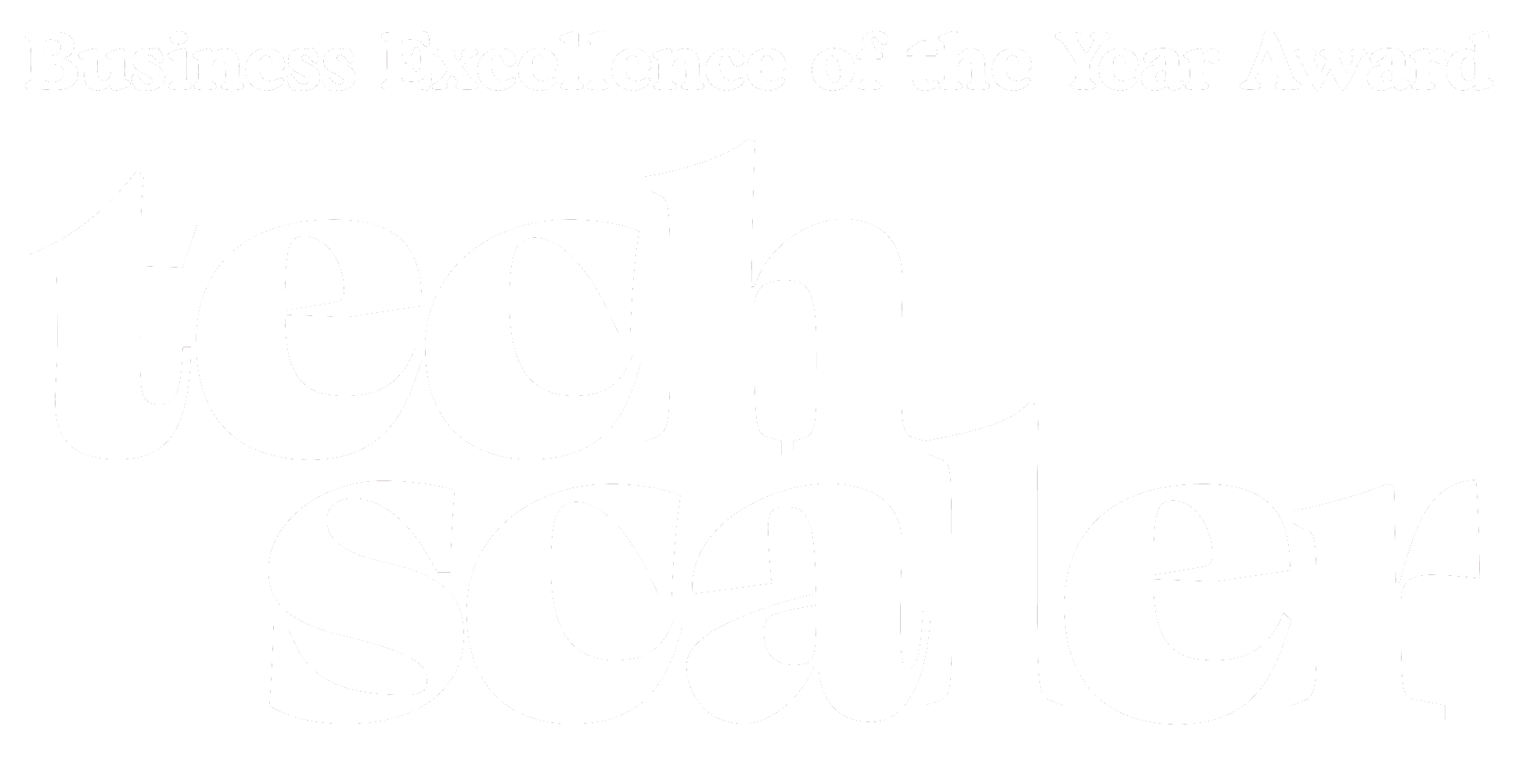 Business Excellence - Techscaler logo